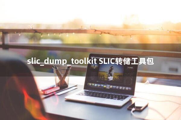 slic_dump_toolkit：SLIC转储工具包